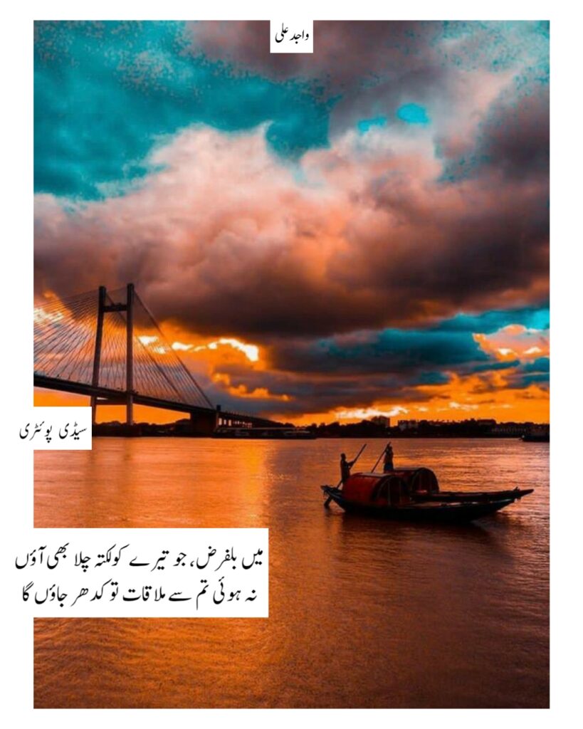 Endless Longing Urdu Poems