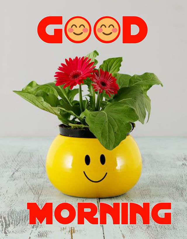 150 + New Good morning images for whatsdapp - Web शायरी