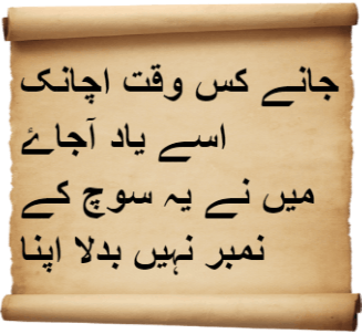 Urdu poetry about the beauty of the human spirit