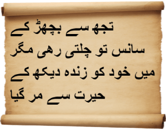 Urdu Poems of Sinking Souls