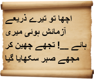 Disconsolate Urdu poetry
