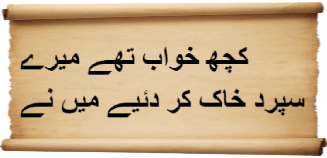 Urdu Poems of Shattered Illusions